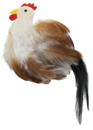 Image for 178851