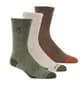 Thumbnail Image for 224410-1