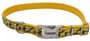 Thumbnail Image for 241226-1
