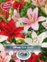 Thumbnail Image for 237826-1