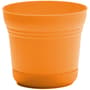Thumbnail Image for 253074-1