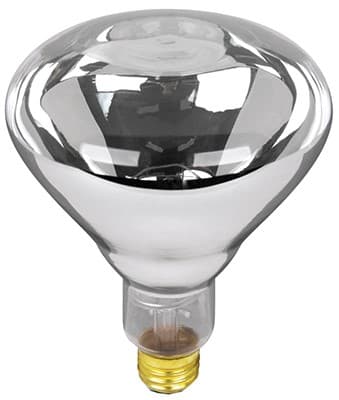 FEIT 250W HEAT LAMP BULB - CascadeFarmAndOutdoor