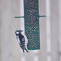 Thumbnail Image for 238256-4