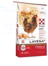 Image for 151541
