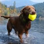 Thumbnail Image for 227638-3