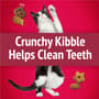 Thumbnail Image for 246978-6