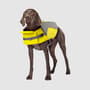 Thumbnail Image for 255237-4