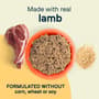 Thumbnail Image for 126298-4