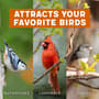 Thumbnail Image for 245264-4