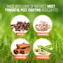 Thumbnail Image for 224770-6