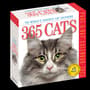 Thumbnail Image for 226221-1