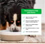 Thumbnail Image for 238390-5