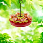 Thumbnail Image for 260510-1