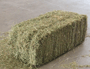 Thumbnail Image for 172876-1