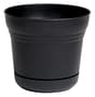 Thumbnail Image for 253082-1