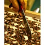 Thumbnail Image for 230435-2