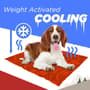 Thumbnail Image for 244846-3