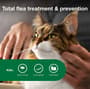 Thumbnail Image for 131838-5