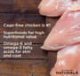 Thumbnail Image for 127527-4