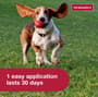 Thumbnail Image for 131844-3