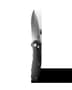 Thumbnail Image for 255243-2