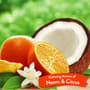 Thumbnail Image for 224771-5