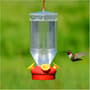 Thumbnail Image for 260493-1
