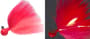 Thumbnail Image for 111198-1