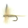 Thumbnail Image for 113629-1