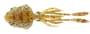 Thumbnail Image for 246894-1