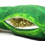 Thumbnail Image for 244882-2