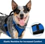 Thumbnail Image for 227453-6