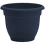 Thumbnail Image for 253062-1