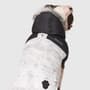 Thumbnail Image for 248930-3