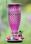 Thumbnail Image for 233106-1
