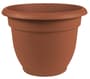 Thumbnail Image for 214330-1