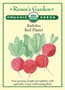 Thumbnail Image for 163251-1