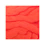 Thumbnail Image for 107838-1