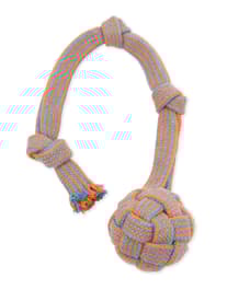 Image for 236377