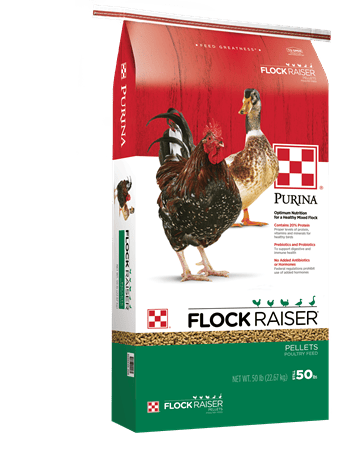 PURINA FLOCK RAISER FEED 50 LB PELLETS - CascadeFarmAndOutdoor