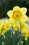 Thumbnail Image for 223599-1