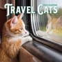 Thumbnail Image for 249496-1