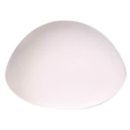 Image for 100979