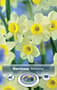 Thumbnail Image for 245775-1