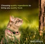 Thumbnail Image for 127528-2