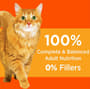 Thumbnail Image for 227693-7