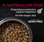 Thumbnail Image for 127518-2