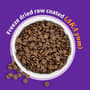 Thumbnail Image for 241005-4