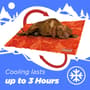 Thumbnail Image for 244846-2