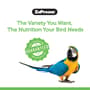 Thumbnail Image for 238130-3